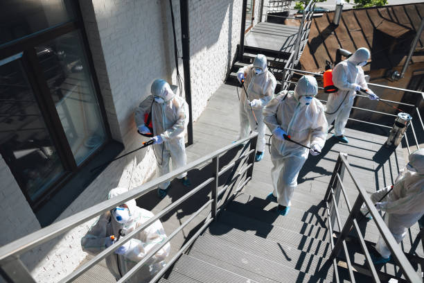 Best Asbestos and Lead Testing During Mold Inspection  in Triana, AL