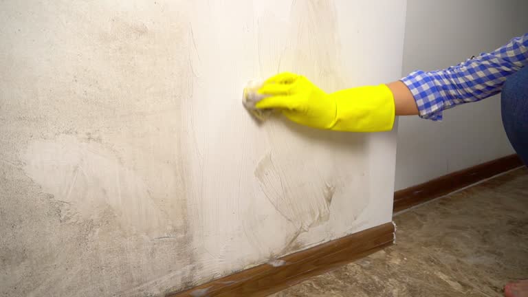 Best Post-Remediation Verification Testing  in Triana, AL