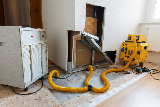 Best Mold Odor Removal Services  in Triana, AL