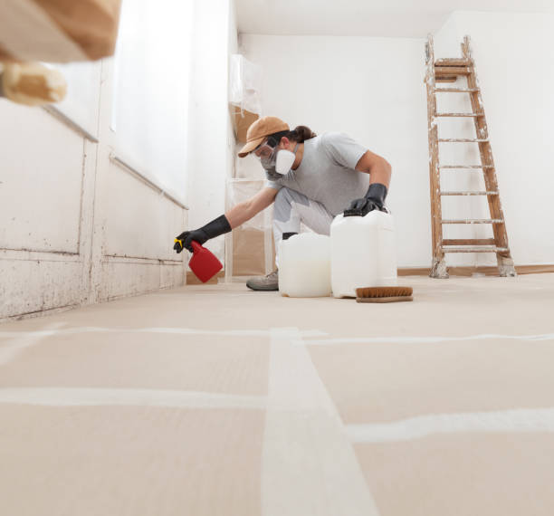 Best Residential Mold Inspection & Testing  in Triana, AL